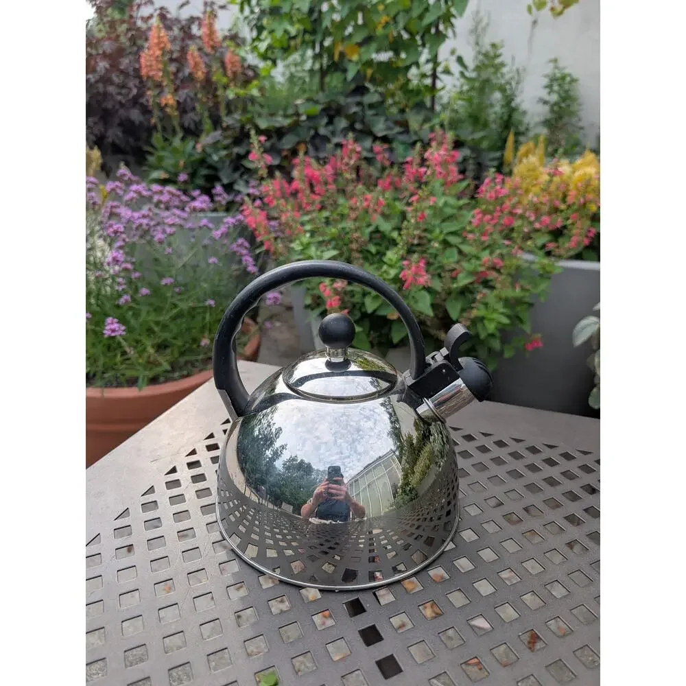 Stainless Steel Tea Kettle Whistling Teakettle 8